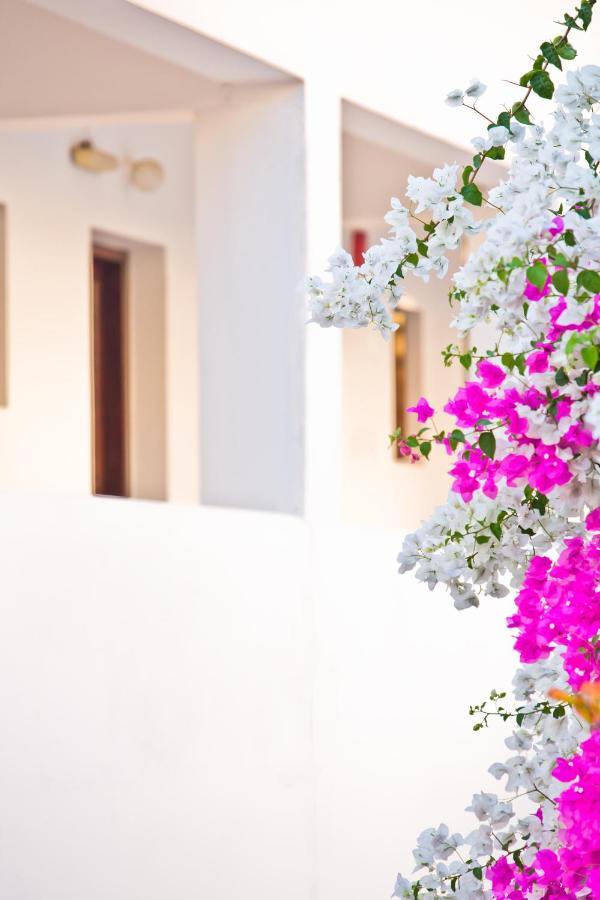 Pegasus Aparthotel Masouri Exterior photo