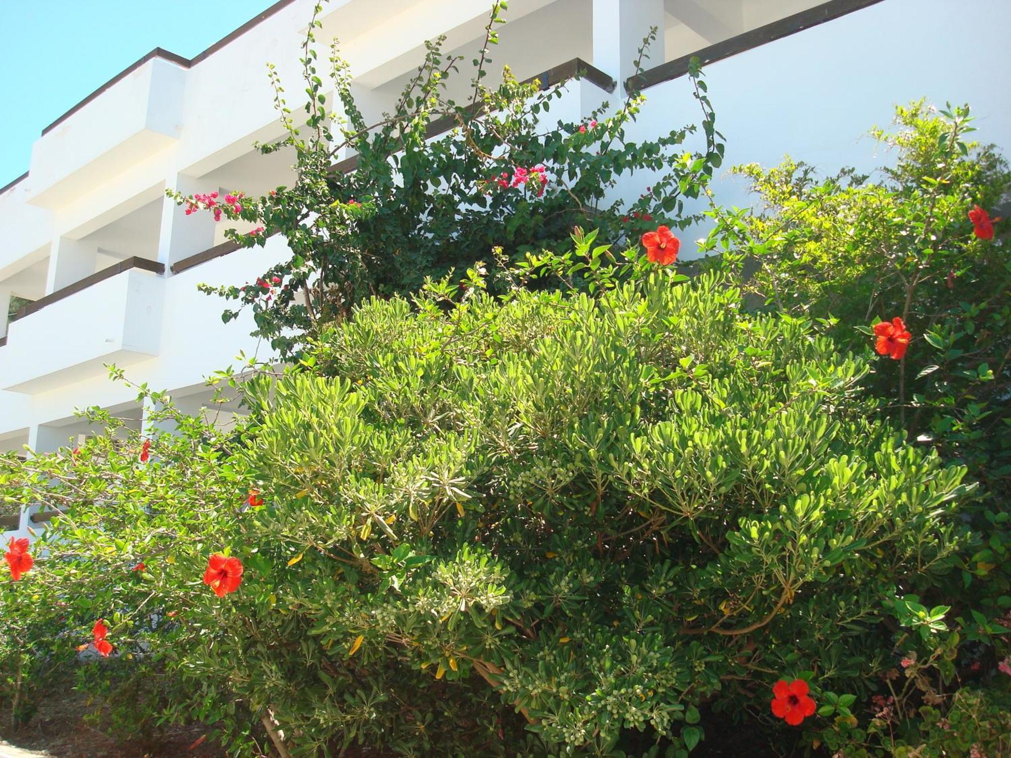 Pegasus Aparthotel Masouri Exterior photo